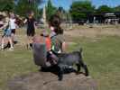 Sabine bei den Streichelziegen im Givskud Zoo in Give (20. Mai)