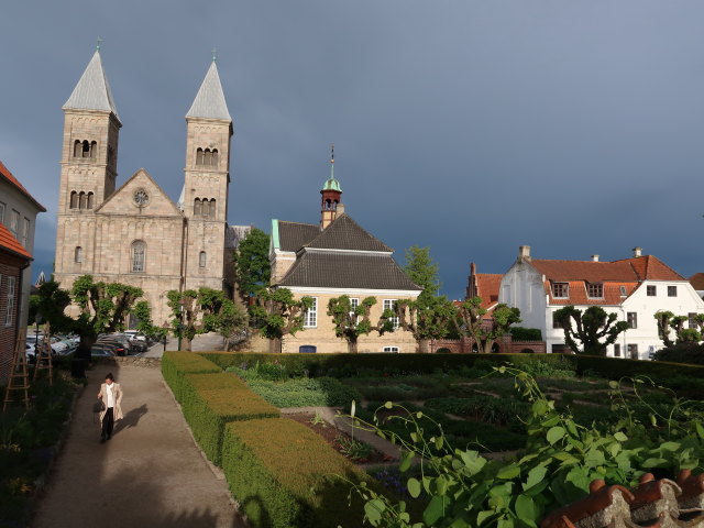 Latinerhaven in Viborg (22. Mai)