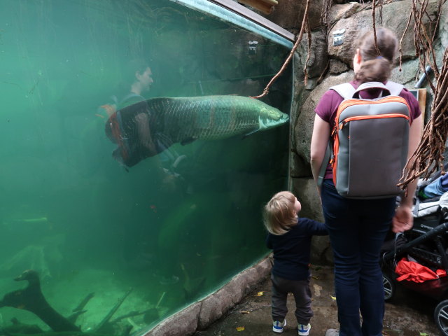 Nils und Sabine in S&uuml;damerika in Randers Regnskov (23. Mai)
