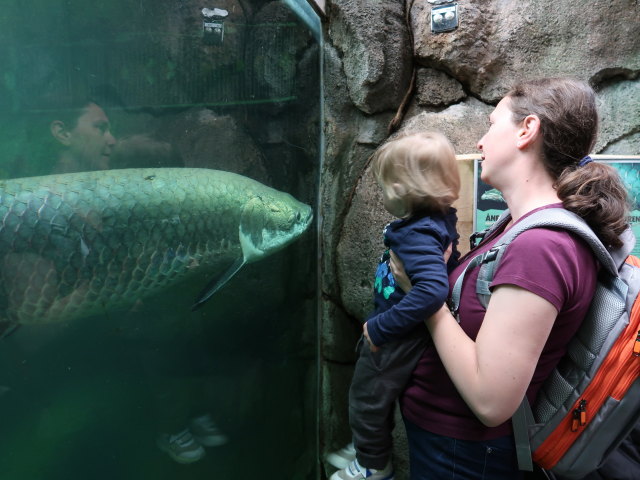 Nils und Sabine in S&uuml;damerika in Randers Regnskov (23. Mai)