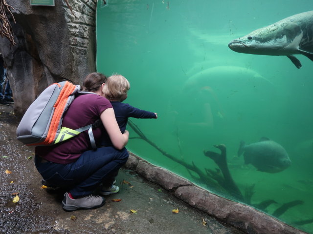 Sabine und Nils in S&uuml;damerika in Randers Regnskov (23. Mai)