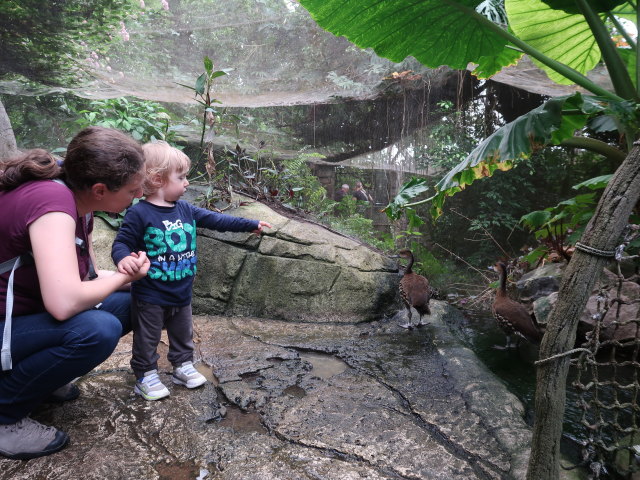 Sabine und Nils in S&uuml;damerika in Randers Regnskov (23. Mai)