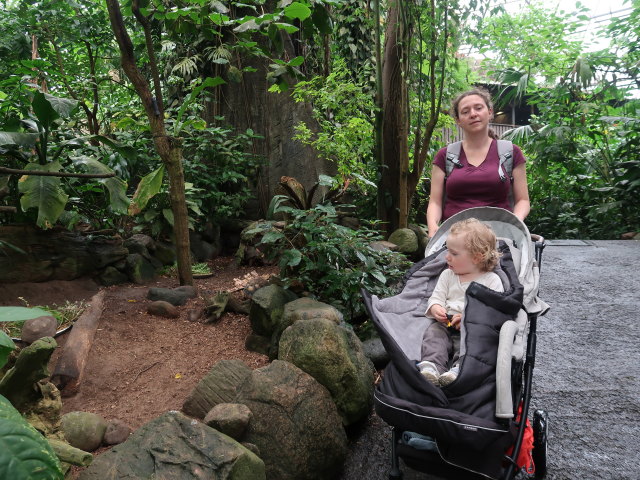 Nils und Sabine in S&uuml;damerika in Randers Regnskov (23. Mai)