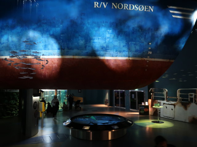 Nords&oslash;en Oceanarium in Hirtshals (25. Mai)