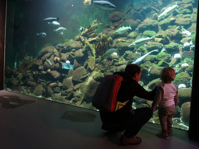 Sabine und Nils im Nords&oslash;en Oceanarium in Hirtshals (25. Mai)