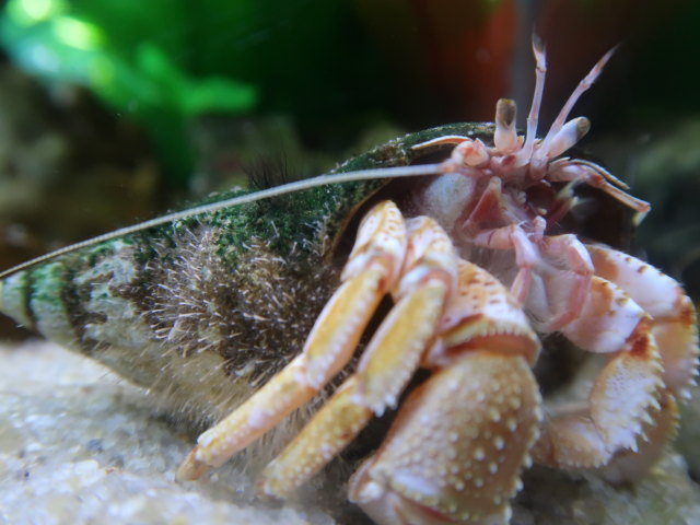 Nords&oslash;en Oceanarium in Hirtshals (25. Mai)