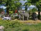 LEGO Safari im Legoland Billund Resort (26. Mai)