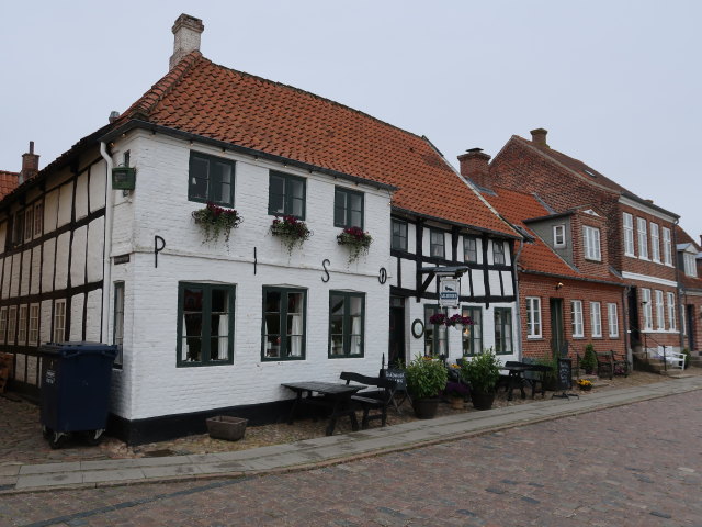 Restaurant S&aelig;lhunden in Ribe (28. Mai)