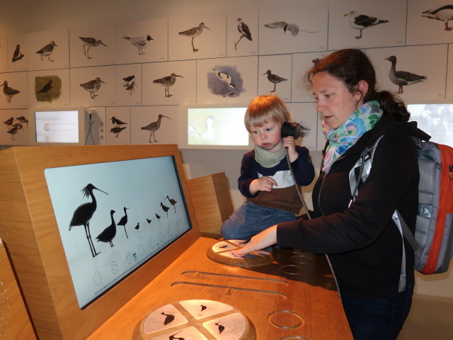 Nils und Sabine im Vadehavscentret in Ribe (28. Mai)