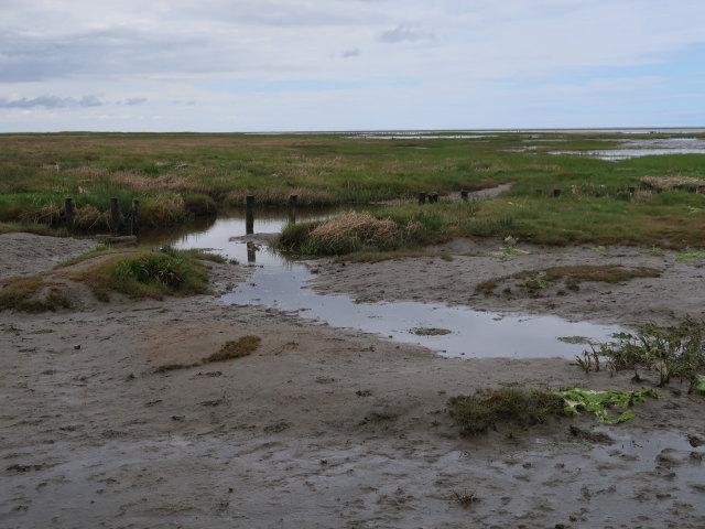 Vadehavet bei Ribe (28. Mai)