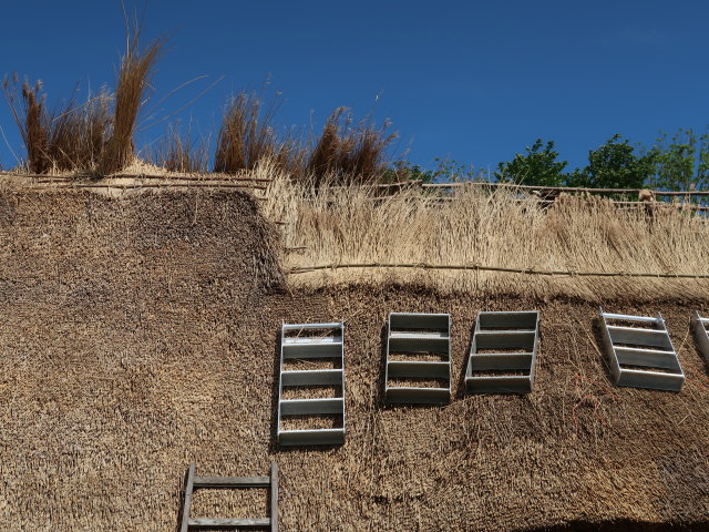 Sagnlandet Lejre (29. Mai)