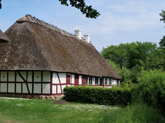 Frilandsmuseet in Kongens Lyngby (1. Juni)