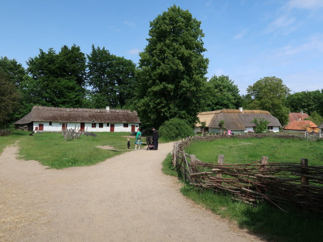 Frilandsmuseet in Kongens Lyngby (1. Juni)