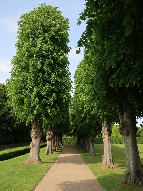 Frederiksborg Haven in Hiller&oslash;d (1. Juni)