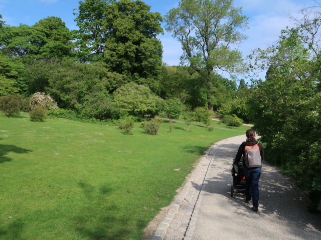 Sabine im Botanisk Have in K&oslash;benhavn (2. Juni)