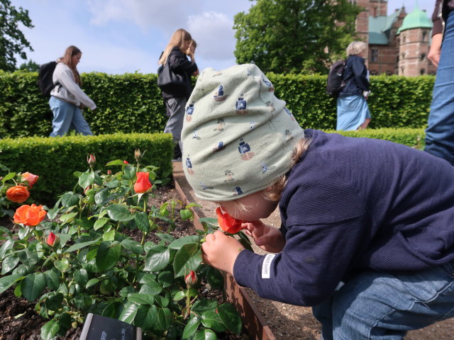 Nils im Kongens Have in K&oslash;benhavn (2. Juni)