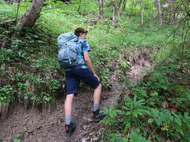 Tim zwischen Hochsteingraben und Hagstein (7. Juni)
