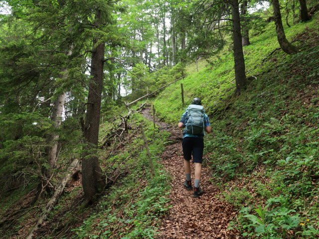 Tim zwischen Hagstein und Hochsteinalm (7. Juni)