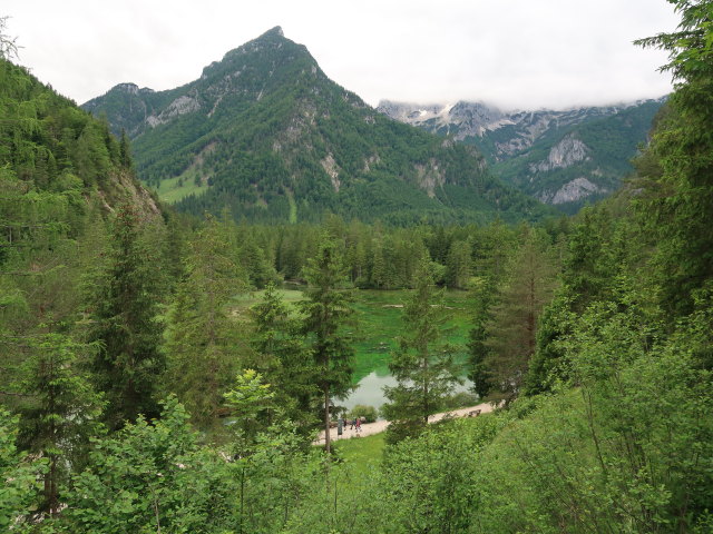 Schiederweiher, 612 m (7. Juni)