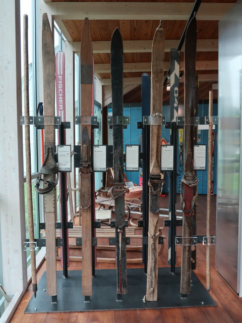 Alpineum in Hinterstoder (8. Juni)