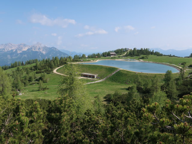 Hutterer H&ouml;ss (9. Juni)