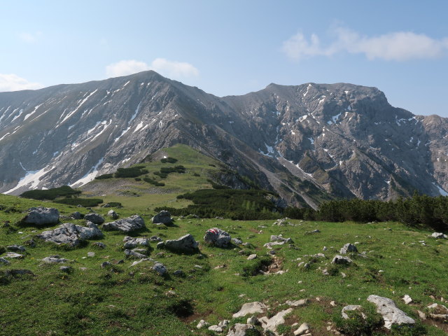 zwischen Schafk&ouml;gel und Hans-Rubenzucker-Steig (9. Juni)
