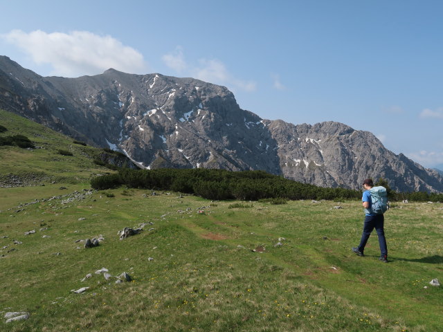 Tim zwischen Schafk&ouml;gel und Hans-Rubenzucker-Steig (9. Juni)