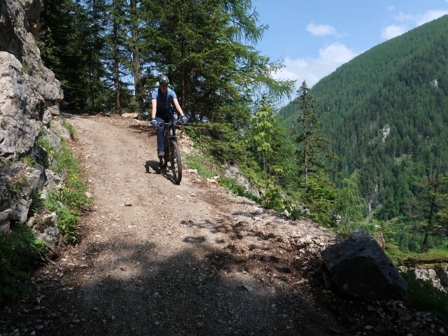 Tim zwischen Edtbauernalm und Unterer Edtbauernalm (9. Juni)
