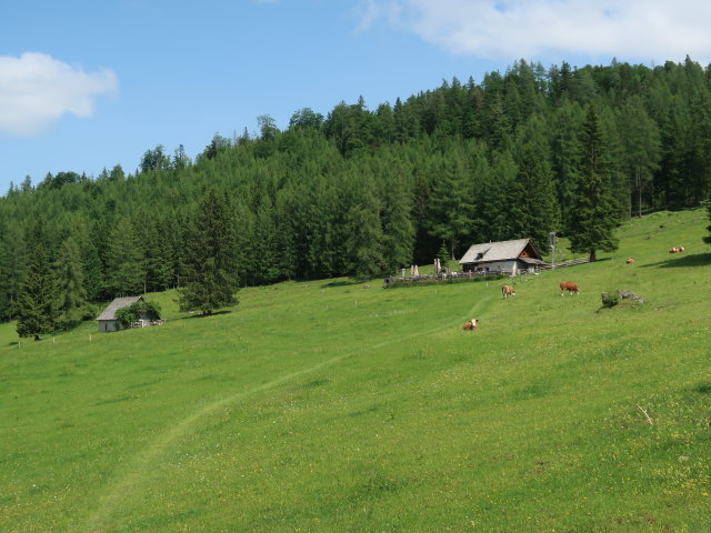 Steyrsbergerreith, 1.193 m (9. Juni)