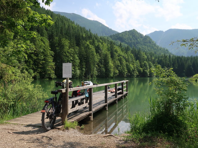 Schafferteich, 891 m (9. Juni)