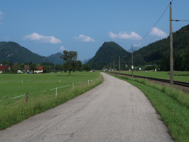 zwischen Krenngraben und St. Pankraz (9. Juni)
