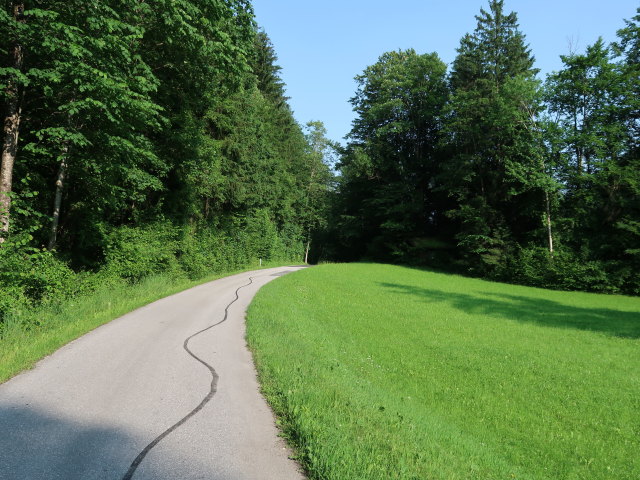 zwischen Palmgraben und Stummergut (9. Juni)