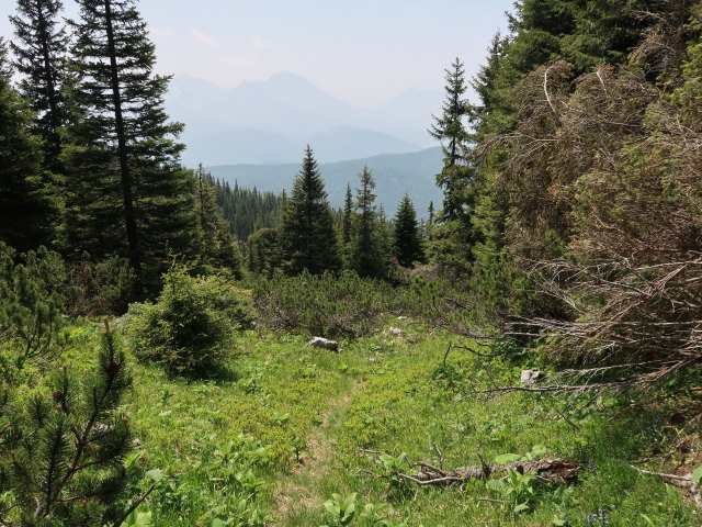 Halterh&uuml;ttental (10. Juni)