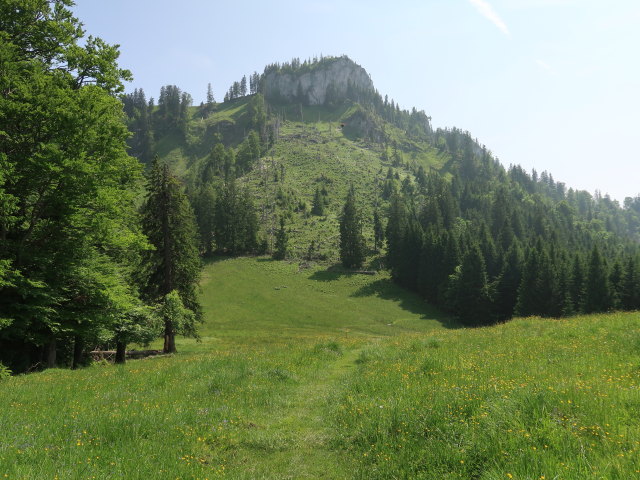 zwischen Ebenforstalm und Tr&auml;mpl (10. Juni)