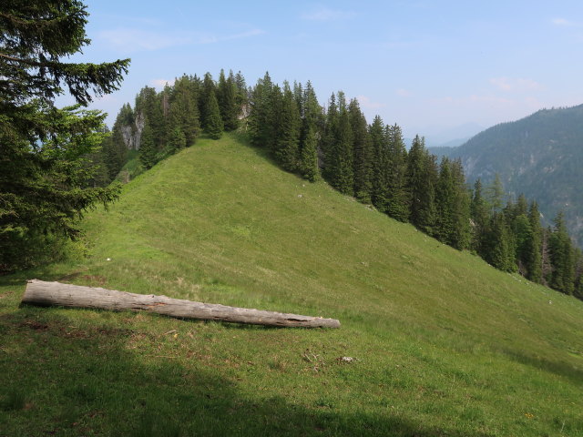 zwischen Tr&auml;mpl und Luchsboden (10. Juni)