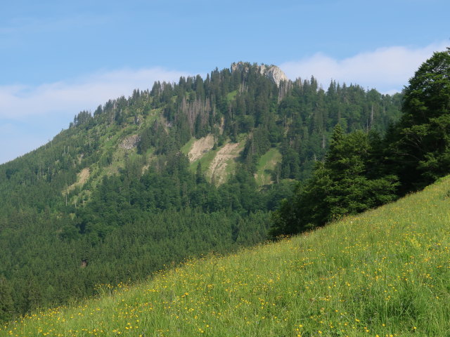 Alpstein (10. Juni)