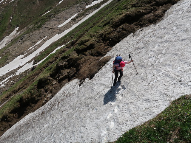 Irene im Schmiedingerkar (14. Juni)