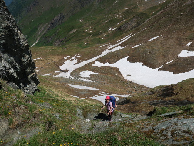 Irene am Krefelder Weg zwischen Hacklsee und Kleet&ouml;rl (14. Juni)