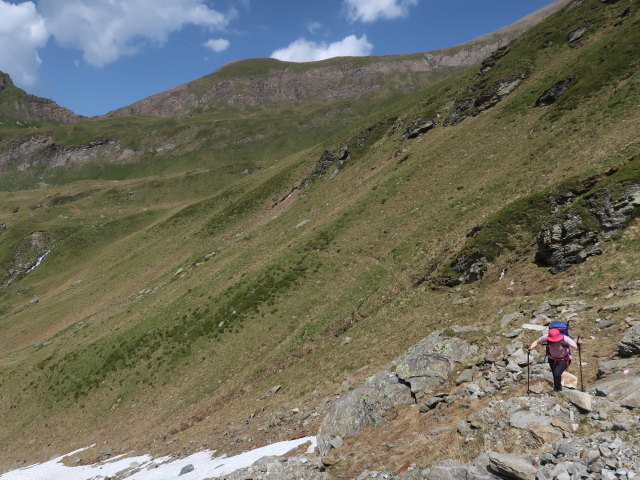 Irene am Krefelder Weg im Reichenbergkar (14. Juni)