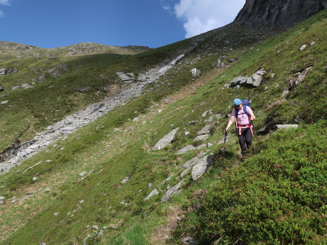 Irene am Krefelder Weg im Schattseitlahner (14. Juni)