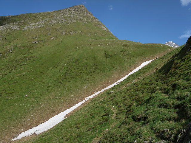 Irene am Krefelder Weg zwischen Schattseitlahner und Tauernmoossee (14. Juni)