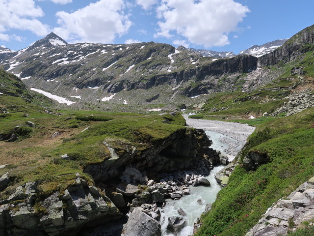 zwischen Eisbodenlacke und Tauernmoossee (15. Juni)