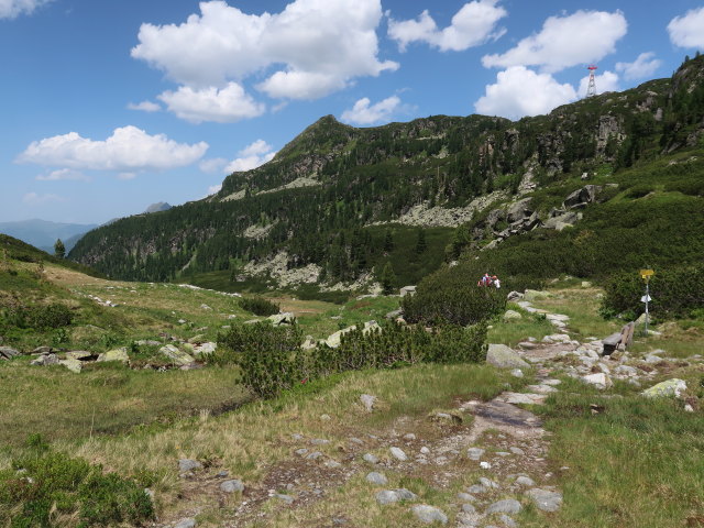 zwischen Niederer Scharte und Gr&uuml;nsee (15. Juni)