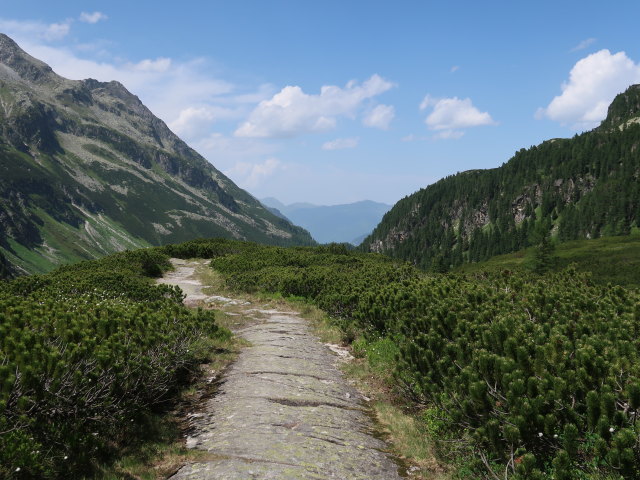 zwischen Niederer Scharte und Gr&uuml;nsee (15. Juni)