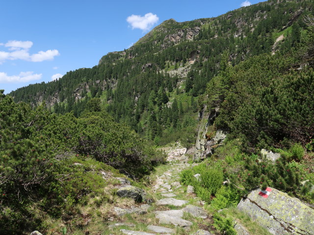 zwischen Niederer Scharte und Gr&uuml;nsee (15. Juni)
