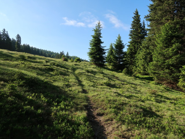 zwischen Sp&ouml;rralm und Schr&ouml;flkogel