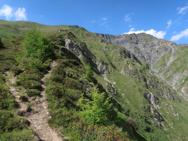 zwischen Naviser Kreuzj&ouml;chl und Die Hagler