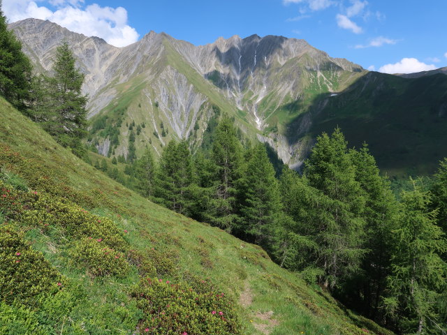 zwischen Naviser Kreuzj&ouml;chl und Die Hagler