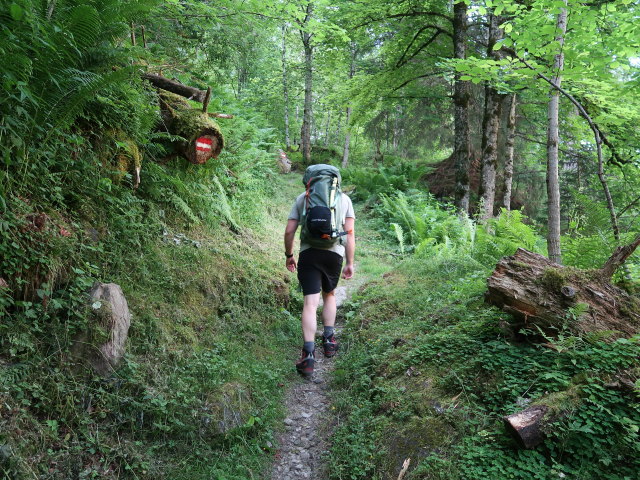 Christian zwischen Talstation der Gletscherbahnen Kaprun und Krapfgrund (21. Juni)