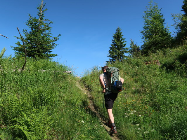 Christian zwischen Krapfgrund und Harleitenalm (21. Juni)